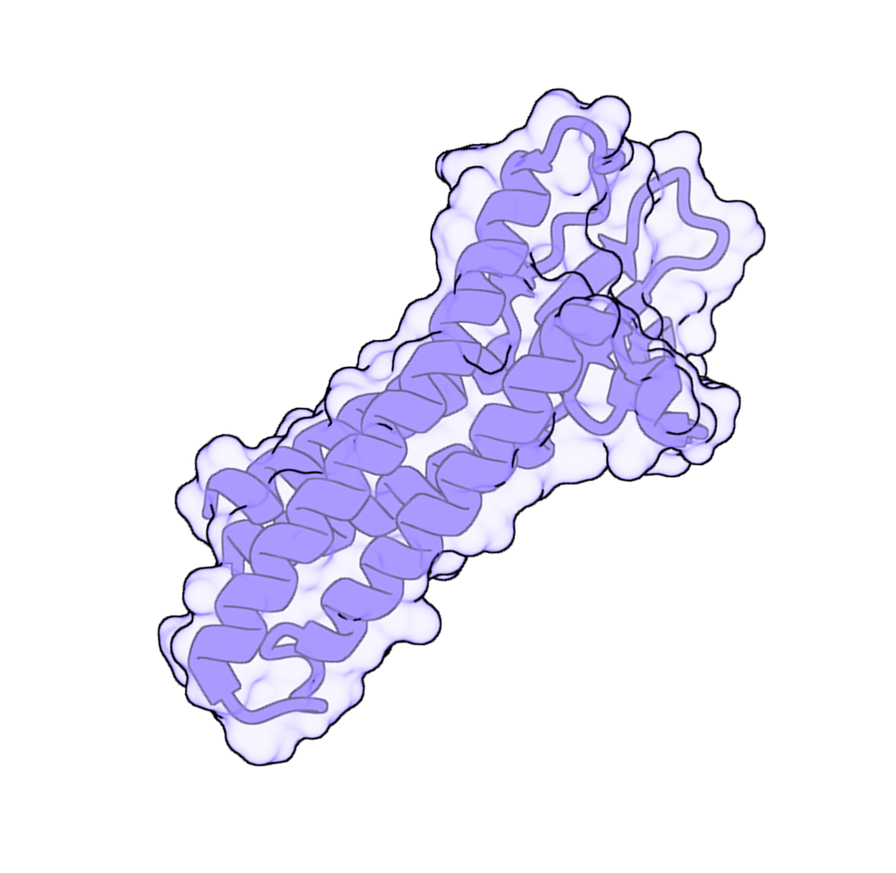 CLDN18.2 protein structure