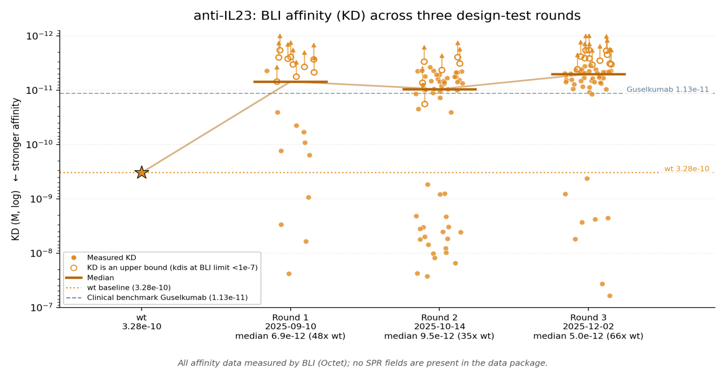 BLI affinity KD results across three design-test rounds