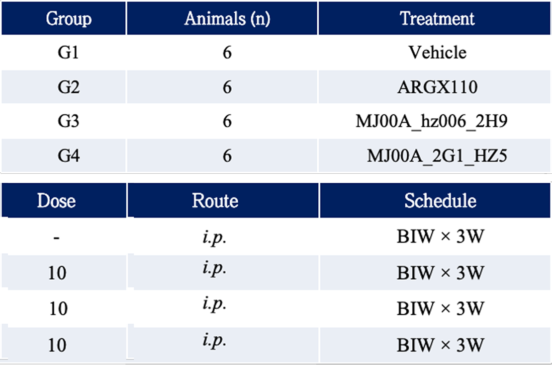 Initial in vivo safety assessment table